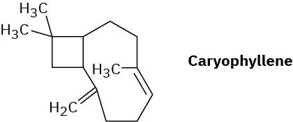 The structure of caryophyllene.