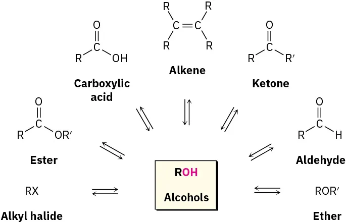 The structure of alcohol at the center is surrounded by several reversible arrows showing that alkene, ketone, aldehyde, ether, carboxylic acid, ester, and alkyl halide can be prepared from alcohol.