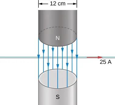 Pole magnetyczne w pionowej szczelinie elekromagnesu skierowane w dół. Szczelina ma szerokość 12,0 cm. Poziomy przewód rozciąga się przez szczelinę przewodząc prąd o natężeniu 25 A, płynący w prawo.
