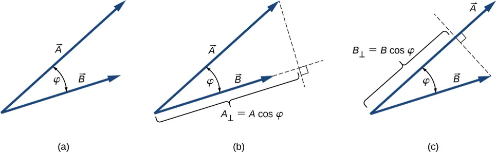 Rysunek a: Wektory A i B mają wspólny punkt zaczepienia. Wektor A jest dłuższy niż wektor B. Kąt między nimi to kąt fi. Rysunek b: Wektor B jest przedłużony przy pomocy linii przerywanej. Kolejna linia przerywana poprowadzona jest od punktu końcowego wektora A do przedłużenia wektora B. Jest ona prostopadła do wektora B. A z indeksem prostopadłe jest równe modułowi A razy cosinus fi i jest to odległość od punktu początkowego wektora B do miejsca przecięcia linii przerywanych. Rysunek c: Od punktu końcowego wektora B poprowadzona jest linia przerywana, która przecina wektor A pod kątem prostym. B z indeksem prostopadłe jest równe moduł z B razy cosinus fi i jest to odległość od punktu zaczepienia wektora A do miejsca jego przecięcia z linią przerywaną.