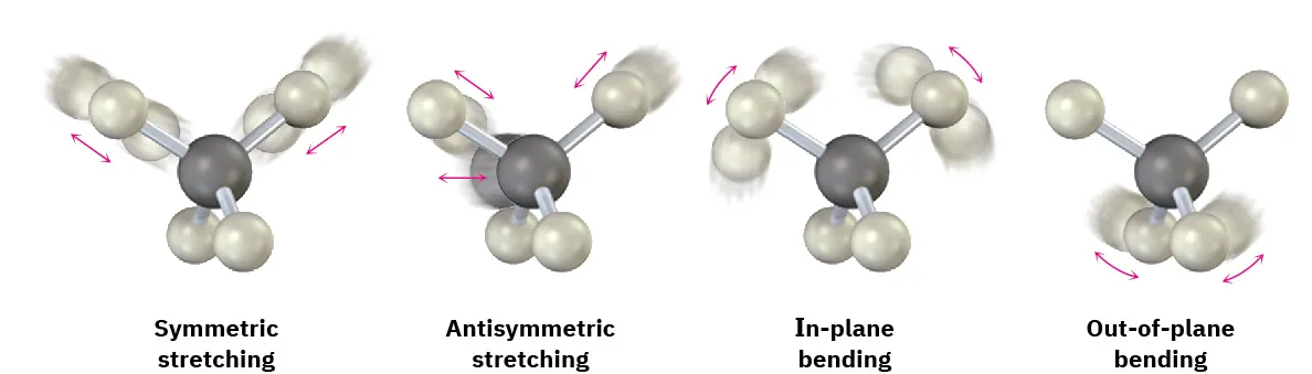 A ball and stick model of four structures showing the bending (in-plane and out-of-plane) and stretching (symmetric and antisymmetric) of bonds. Gray and white spheres represent carbon and hydrogen, respectively.