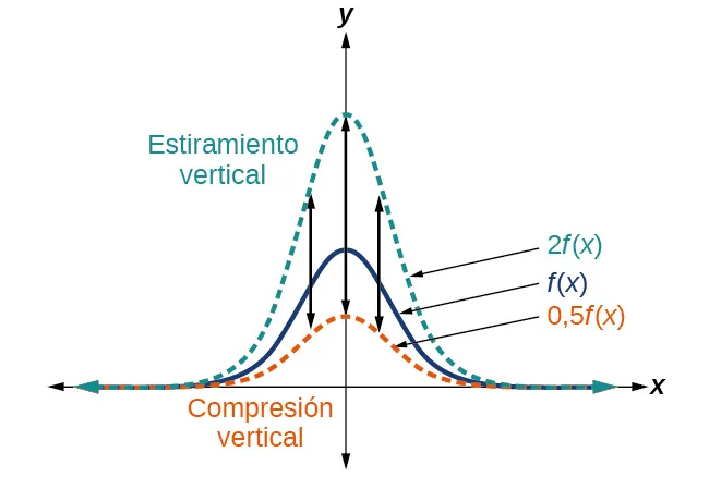 Gráfico de una función que muestra el estiramiento y la compresión vertical.