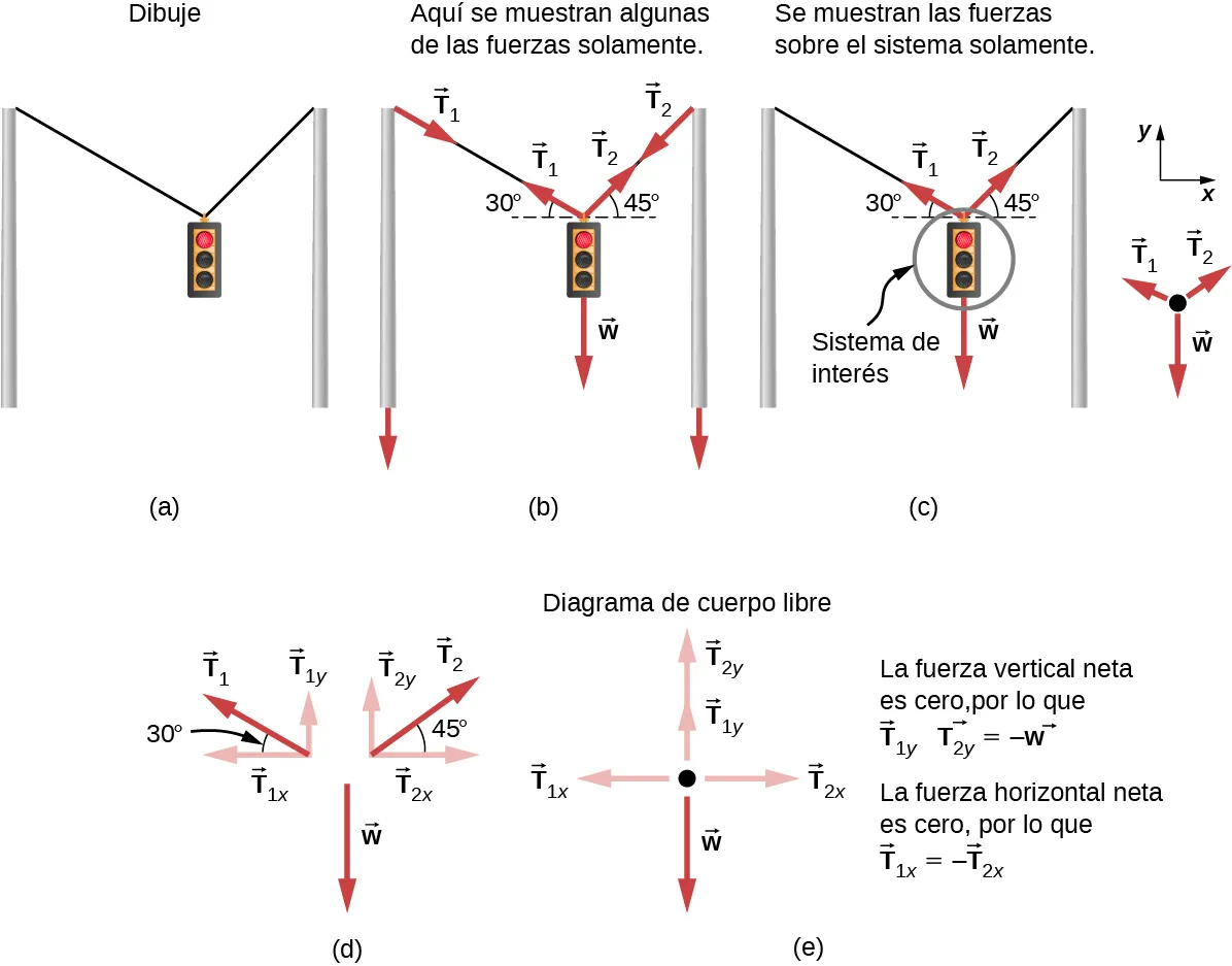 Se muestra un esquema de un semáforo suspendido de dos alambres apoyados en dos postes. (b) Se muestran algunas fuerzas en este sistema. Se muestra la tensión T sub uno que hala la parte superior del poste de la izquierda con la flecha vectorial a lo largo del alambre de la izquierda desde la parte superior del poste, y una tensión igual pero opuesta T sub uno se muestra con la flecha que apunta hacia arriba a lo largo del alambre de la izquierda donde está unido a la luz; el alambre de la izquierda forma un ángulo de treinta grados con la horizontal. La tensión T sub dos se muestra con una flecha vectorial que apunta hacia abajo desde la parte superior del poste derecho a lo largo del alambre de la derecha, y una tensión igual pero opuesta T sub dos se muestra con la flecha que apunta hacia arriba a lo largo del alambre de la derecha, que forma un ángulo de cuarenta y cinco grados con la horizontal. El semáforo está suspendido en el extremo inferior de los alambres, y su peso W se muestra mediante una flecha vectorial que actúa hacia abajo. (c) El semáforo es el sistema de interés, se indica encerrando en un círculo el semáforo. La tensión T sub uno a partir del semáforo se muestra con una flecha a lo largo del alambre en un ángulo de treinta grados con la horizontal. La tensión T sub dos a partir del semáforo se muestra con una flecha a lo largo del alambre en un ángulo de cuarenta y cinco grados con la horizontal. El peso W se muestra mediante una flecha vectorial que apunta hacia abajo desde el semáforo. Se muestra un diagrama de cuerpo libre con tres fuerzas que actúan sobre un punto. El peso W actúa hacia abajo; T sub uno y T sub dos actúan en ángulo con la vertical. Se muestra un sistema de coordenadas, con la x positiva hacia la derecha y la y positiva hacia arriba. (d) Se muestran las fuerzas con sus componentes. T sub uno se descompone en T sub uno y apunta verticalmente hacia arriba y T sub uno x apunta a lo largo de la dirección de la x negativa. El ángulo entre T sub uno y T sub uno x es de treinta grados. T sub dos se descompone en T sub dos y apunta verticalmente hacia arriba y T sub dos x apunta a lo largo de la dirección de la x positiva. El ángulo entre T sub dos y T sub dos x es de cuarenta y cinco grados. El peso W se muestra mediante una flecha vectorial que actúa hacia abajo. (e) La fuerza vertical neta es cero, por lo que la ecuación vectorial es T sub uno y más T sub dos y es igual a W. T sub uno y y T sub dos y se muestran en un diagrama de cuerpo libre como flechas de igual longitud que apuntan hacia arriba. W se muestra como una flecha que apunta hacia abajo y cuya longitud es el doble de la de cada una de las flechas T sub uno y y T sub dos y. La fuerza horizontal neta es cero, por lo que el vector T sub uno x es igual a menos el vector T sub dos x. T sub dos x se muestra con una flecha que apunta hacia la derecha, y T sub uno x se muestra con una flecha que apunta hacia la izquierda.