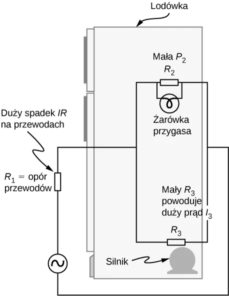 Rysunek przedstawia schemat lodówki. 