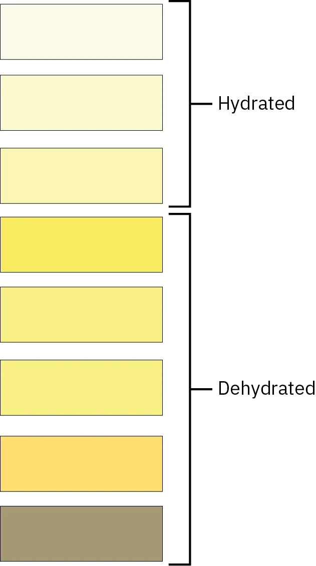 This color chart shows different shades of yellow and associates each shade with hydration or dehydration. The lighter shades represent hydration while the darker shades represent dehydration.