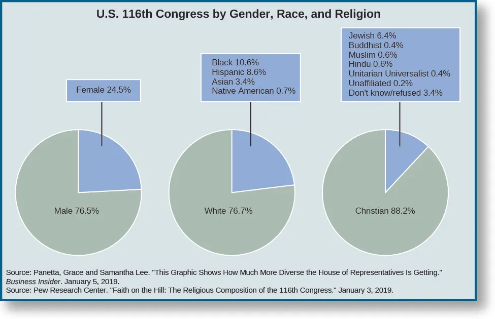 A series of three pie charts titled “U.S. 116th Congress by Gender, Race, and Religion”. The leftmost pie chart shows two slices, one labeled “Male 76.5%” and one labeled “Female 24.5””. The middle pie chart shows two slices, one labeled “White 76.7%” and one labeled “Black 10.6%, Hispanic 8.6%, “Asian 3.4%, and Native American 0.7%”. The rightmost pie chart shows two slices, one labeled “Christian 88.2%” and one labeled “Jewish 6.4%, Buddhist 0.4%, Muslin 0.6%, Hindu 0.6%, Unitarian Universalist 0.4%, Unaffiliated 0.2%, Don’t know/refused 3.4%”.  At the bottom of the charts, sources are listed: Panetta, Grace and Samantha Lee. 'This Graphic Shows How Much More Diverse the House of Representatives Is Getting'. Business Insider. January 5, 2019. Pew Research Center. 'Faith on the Hill: The Religious Composition of the 116th Congress.' January 3, 2019.