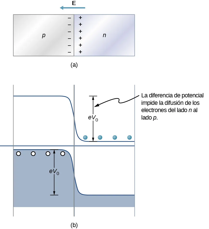 La figura a muestra dos bloques colocados uno al lado del otro, en contacto. El de la izquierda está marcado como p y el de la derecha como n. Los signos de menos se muestran en el bloque p cerca del lado en contacto. Los signos de más se muestran en el bloque n cerca del lado en contacto. La figura b muestra una banda de valencia en la parte inferior y una línea de conducción en la parte superior. La banda de valencia es más alta en el lado izquierdo y casi alcanza la línea central entre las dos bandas. Hay agujeros con la banda de valencia en la parte superior izquierda. La línea de conducción es más baja a la derecha, llegando casi a la línea central entre las dos bandas. Hay electrones justo por encima de la línea, a la derecha. El desplazamiento de las bandas está marcado como eV subíndice 0, la diferencia de potencial impide la difusión de los electrones del lado n al lado p.
