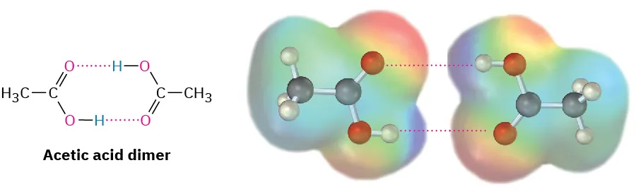 Structure of acetic acid dimer and ball-and-stick model in electrostatic potential map. Hydrogen bonding shown between each molecule's acidic H and the other's carbonyl O.