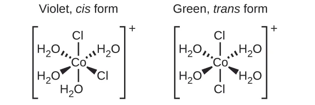 Two structures are shown. The first is labeled, “Violet, cis form.” Below this label inside brackets is a central C o atom. From the C o atom, line segments indicate bonds to a C l atom above and the O atom of an H subscript 2 O group below the structure. Above and to both the right and left, dashed wedges with their vertex at the C o atom widening as they move out from the atom indicate bonds with O atoms of H subscript 2 O groups. Similarly, solid wedges below to both the right and left indicate bonds to a C l atom on the right and the O atom of an H subscript 2 O group on the left. This structure is enclosed in brackets. Outside the brackets to the right is the superscript plus sign. The second is labeled, “Green, trans form.” Below this label inside brackets is a central C o atom. From the C o atom, line segments indicate bonds to C l atoms above and below the structure. Above and to both the right and left, dashed wedges indicate bonds with O atoms of H subscript 2 O groups. Similarly, solid wedges below to both the right and left indicate bonds to the O atoms of H subscript 2 O groups. This structure is also enclosed in brackets with a superscript plus sign outside the brackets to the right.