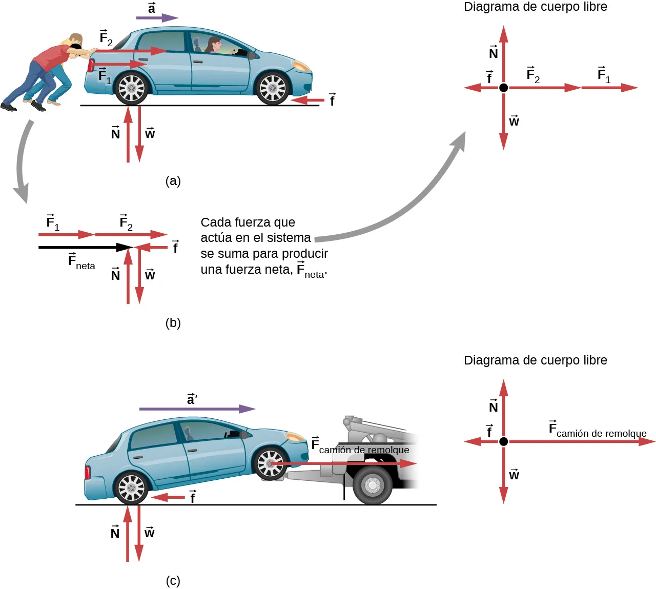La figura a muestra a dos personas empujando un auto con fuerzas F1 y F2 en la dirección derecha. La aceleración a también está en la misma dirección. La fuerza de fricción f se muestra cerca del neumático en la dirección opuesta, a la izquierda. La fuerza ascendente N y la fuerza descendente W son de igual magnitud y se muestran cerca del suelo. La figura b reúne todas las fuerzas de la figura a y muestra una fuerza neta (F neta). Estas fuerzas también se muestran en un diagrama de cuerpo libre. La figura c muestra el auto remolcado por una grúa. Aquí, las fuerzas N, W y f son las mismas que las de la figura a. F subíndice grúa tiene una magnitud mayor que F1 o F2. La aceleración a prima tiene una magnitud mayor que a. Todas las fuerzas de este sistema se muestran también en un diagrama de cuerpo libre.