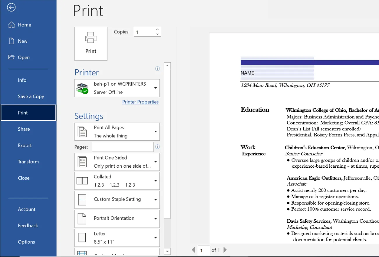 Print is selected and options available include Print, Copies, Printer, Print All Pages, Print One Sided, Collated, Custom Staple Setting, Portrait Orientation, and Letter. A Preview of document displays at the right.