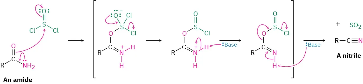 Reaction mechanism between amide and thionyl chloride. Nitrogen pushes electrons to carbonyl oxygen, results in O S bond. Subsequent loss of chlorine, deprotonation of N, loss of C O bond.