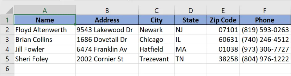 Table displays consistent information for Zip Code (five numbers), and phone numbers (first three digits in parentheses and a dash between the third and fourth numbers).