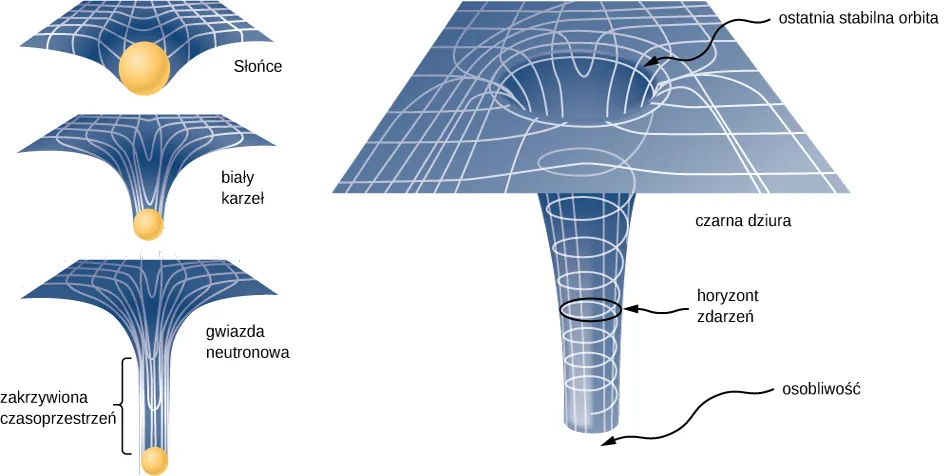 Po lewej stronie są trzy ilustracje czasoprzestrzeni przedstawione jako siatka z coraz głębszymi wgłębieniami z ciałem na dole wgłębienia. Ciało na górnym rysunku jest oznaczone jako Słońce i ma płytkie wgłębienie. Ciało na środkowym rysunku jest opisane jako biały karzeł i ma głębsze wgłębienie oraz bardziej zakrzywione linie siatki. Ciało na trzecim rysunku jest oznaczone jako gwiazdą neutronową. Wgłębienie jest bardzo głębokie, a jego boki są prawie pionowe. Region nad gwiazdą jest opisany jako zakrzywiona czasoprzestrzeń. Po prawej stronie znajduje się większa ilustracja czarnej dziury. Wgłębienie jest teraz zakrzywione i staje się pionową rurką, która jest otwarta na dole. Dno rury jest oznaczone jako osobliwość. Linie siatki w rurze tworzą pionowe linie i spiralę. Okrąg na przekroju rurki jest oznaczony jako horyzont zdarzeń. Krąg, w którym siatka czasoprzestrzeni zgina się tworząc górną część rury, jest oznaczony jako ostatnia stabilna orbita.