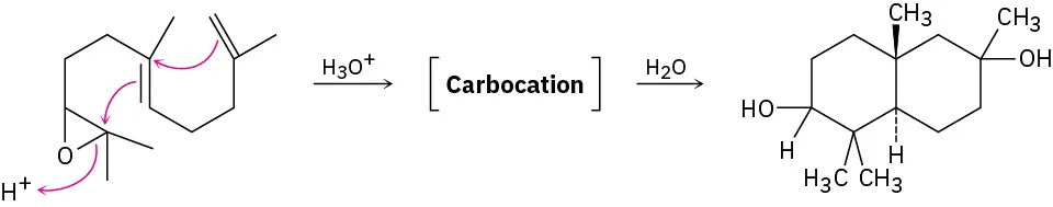 An epoxide reacts with hydronium ion to form a carbocation. This reacts with water to form a diol.
