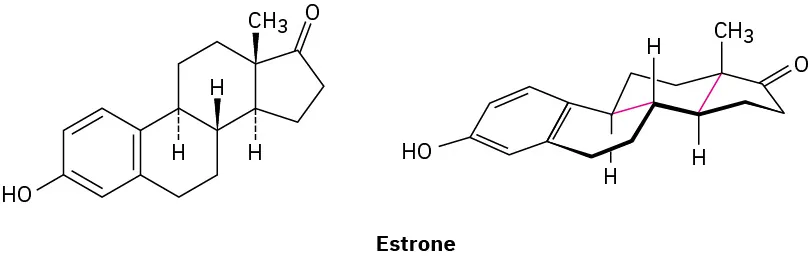 The wedge-dash and bond-line structures of estrone. In the bond-line structures, all rings except benzene are in chair conformations.