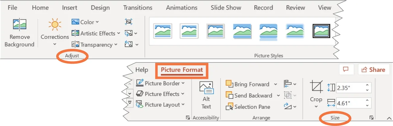 A screenshot of the Picture Format tab in PowerPoint selected with the Adjust (includes Corrections, Color, Artistic Effects, Transparency) and Size (includes Crop, Height, Width) command groups highlighted.