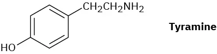 The structure of tyramine. A benzene ring with a hydroxyl group on C 1 and two methylene connected to an amine group on C 4.