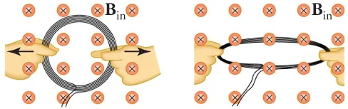 Two images of a circular wire embedded in a magnetic field that is pointing into the page. The left figure shows the circular wire enclosing four of the magnetic field points with two hands on either end pulling on the wire initially shaped like a circle. The image on the right shows the same wire stretched out into an ellipse.