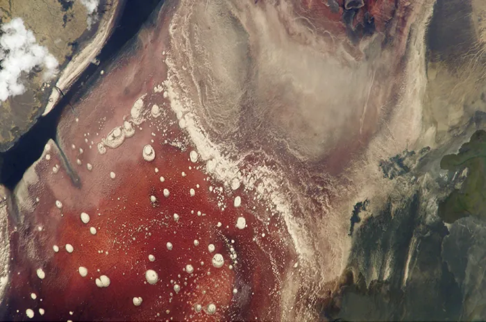 Lake Natron in Tanzania. Description in caption.