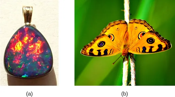 La figura a es una fotografía de un colgante de ópalo que refleja varios colores. La figura b es la fotografía de una mariposa.