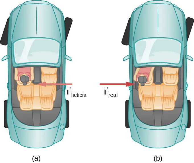 La Figura a es la ilustración de una conductora que dirige un auto hacia la derecha, vista desde arriba. Se muestra un vector de fuerza ficticio F sub fict que apunta a la izquierda que actúa sobre ella. En la Figura b, se ilustran el mismo auto y la misma conductora, pero el vector de fuerza real, F sub real, que actúa sobre la conductora se muestra que apunta a la derecha. En la Figura b, la conductora se muestra inclinada hacia la izquierda.