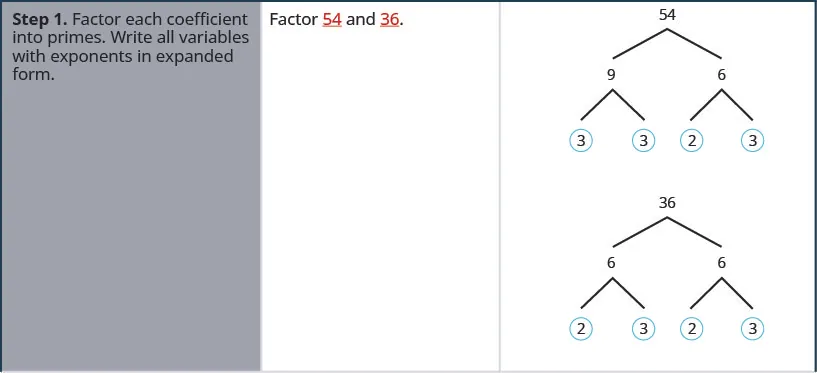 This table has three columns. In the first column are the steps for factoring. The first row has the first step, factor each coefficient into primes and write all variables with exponents in expanded form. The second column in the first row has “factor 54 and 36”. The third column in the first row has 54 and 36 factored with factor trees. The prime factors of 54 are circled and are 3, 3, 2, and3. The prime factors of 36 are circled and are 2,3,2,3.