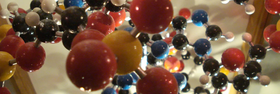 A molecular model shows hundreds of atoms, represented by yellow, red, black, blue and white balls, connected together by rods to form a molecule. The molecule has a complex but very specific three-dimensional structure with rings and branches.