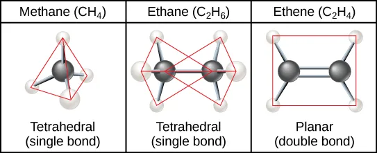Methane, the simplest hydrocarbon, is composed of four hydrogen atoms surrounding a central carbon. The bond between the four hydrogen atoms and the central carbon spaced as far apart as possible. This results in a tetrahedral shape with hydrogen atoms projecting upward and off to three sides around the central carbon. Ethane is composed of two carbons connected by a single bond. Each carbon also has three hydrogen atoms connected to it. The hydrogens are spaced as far apart from each other and from the other carbon so again the shape is tetrahedral. Ethene, like ethane, is composed of two carbon atoms, but in this case the carbons are connected by a double bond. Each carbon also has two hydrogen atoms connected to it, for a total of three bonds. The three bonds are spaced as far apart as possible around carbon, which means they are all on the same plane and pointing off in three directions. As a result, the molecule is planar, or flat.