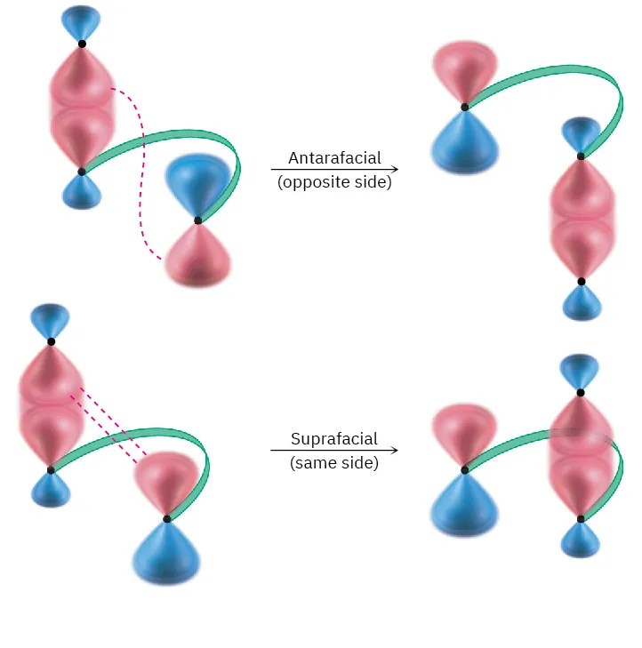 Orbital diagrams of suprafacial and antarafacial sigmatropic rearrangement. Antarafacial migrates groups to opposite face and suprafacial migrates groups to same face such that new bonds are always between same-sign lobes.