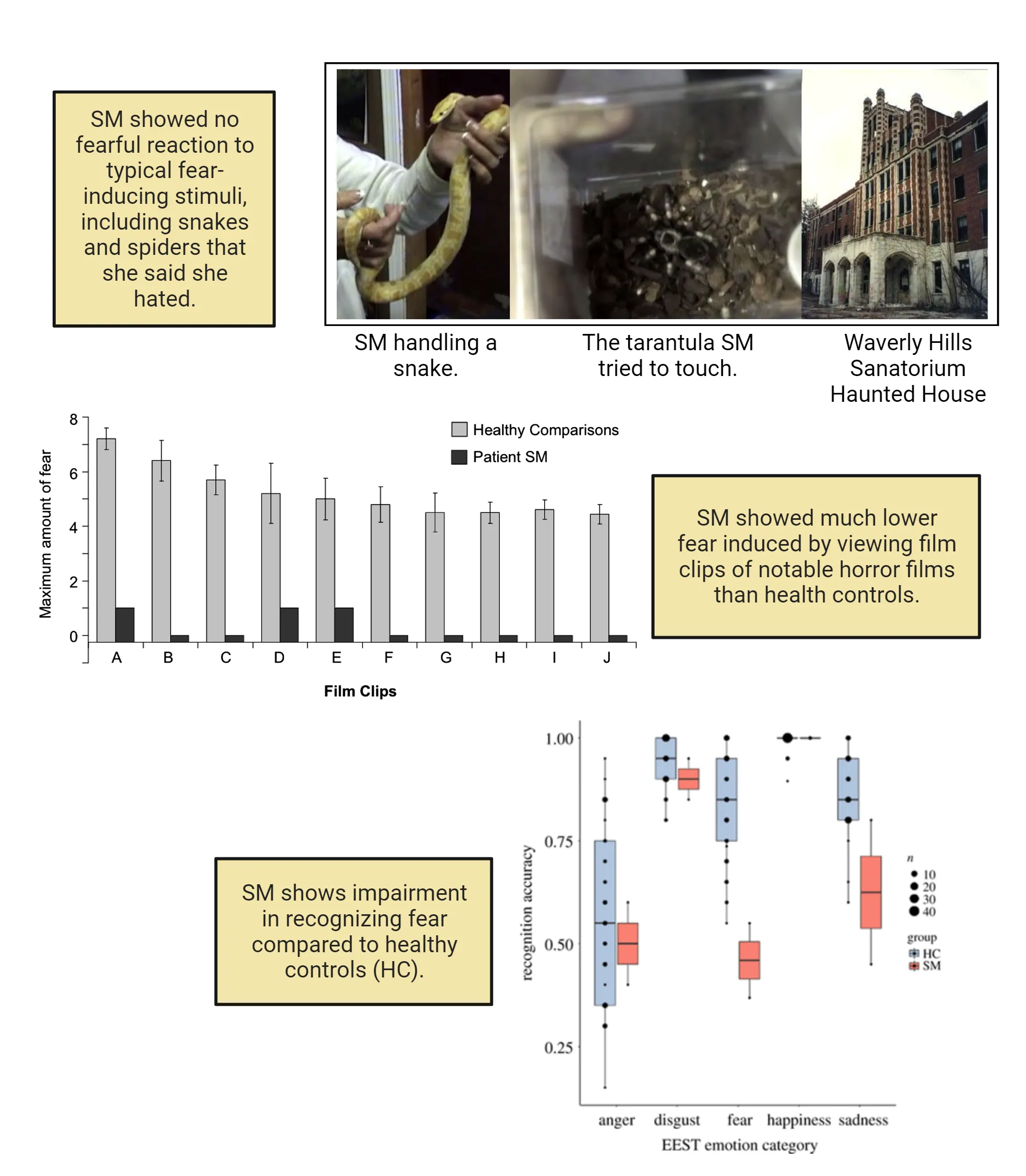 Top: Photos of a person holding a snake, a tarantula and an old building. Middle: Bar graph of film clips (x axis) versus maximum amount of fear (y-axis) in healthy comparisons and patient SM. Bottom: Box and whiskers plot of recognition accuracy (y-axis)  for 5 different emotions in healthy controls and SM