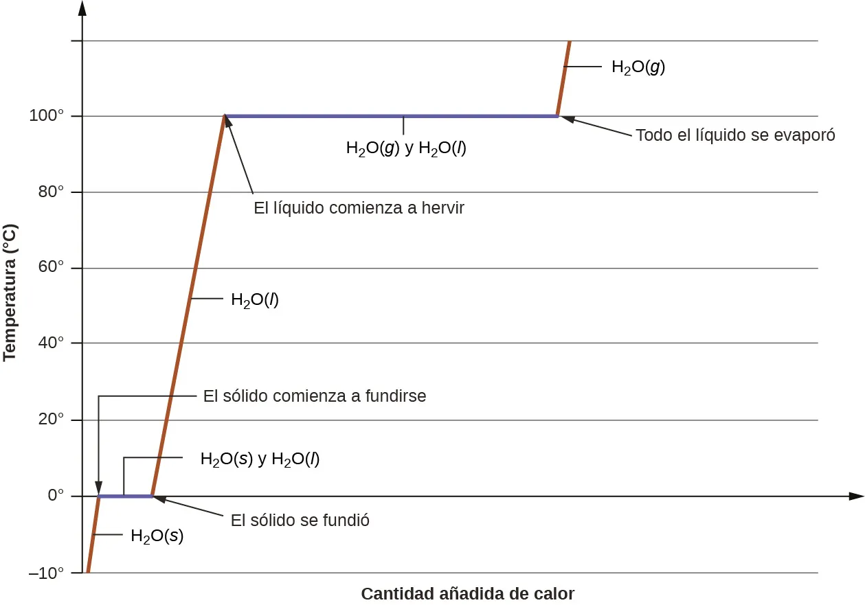 Se muestra un gráfico en el que el eje x está marcado como "Cantidad de calor añadido" y el eje y está marcado como "Temperatura ( signo de grado C )" y tiene valores de 10 a 100 negativos en incrementos de 20. Una flecha horizontal orientada hacia la derecha se extiende desde el punto "0, 0" hasta el lado derecho del gráfico. Un gráfico de líneas comienza en la parte inferior izquierda del gráfico y se desplaza hasta el punto "0" en el eje Y. Este segmento de la línea está marcado como "H, subíndice 2, O ( s )" A continuación, la línea se aplana y se desplaza horizontalmente durante una pequeña distancia. Este segmento está marcado como "El sólido comienza a fundirse" en su lado izquierdo y "Todo el sólido fundido" en su lado derecho. A continuación, la línea asciende de forma lineal hasta llegar al punto "100" del eje Y. Este segmento de la línea está marcado como "H, subíndice 2, O,( l )" A continuación, la línea se aplana y se desplaza horizontalmente durante una distancia moderada. Este segmento está marcado como "El líquido comienza a hervir" en su lado izquierdo y "Todo el líquido se evaporó" en su lado derecho. La línea se eleva entonces hasta un punto por encima de "100" en el eje Y. Este segmento de la línea está marcado como "H, subíndice 2, O ( g )".