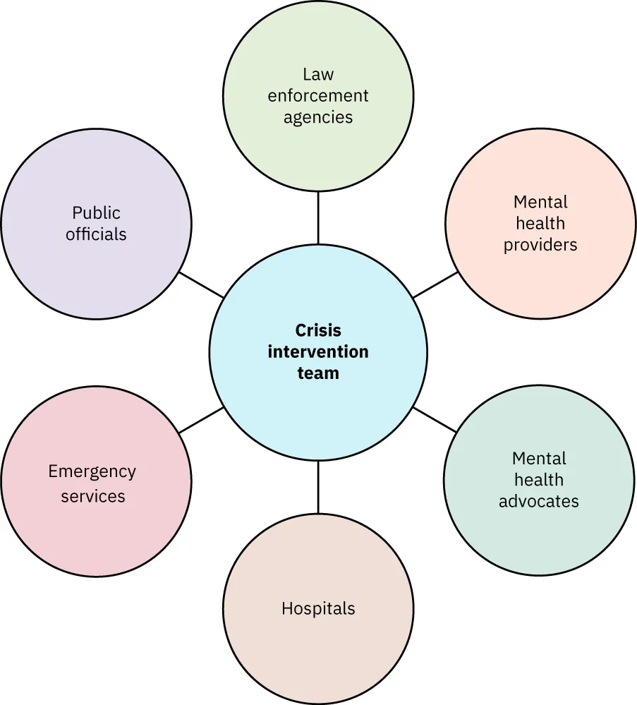 Chart titled: Crisis Intervention: It Takes a Team. CIT Program team members include: Law Enforcement Agencies, Mental Health Providers, Hospitals, Emergency Services, and Public Officials.