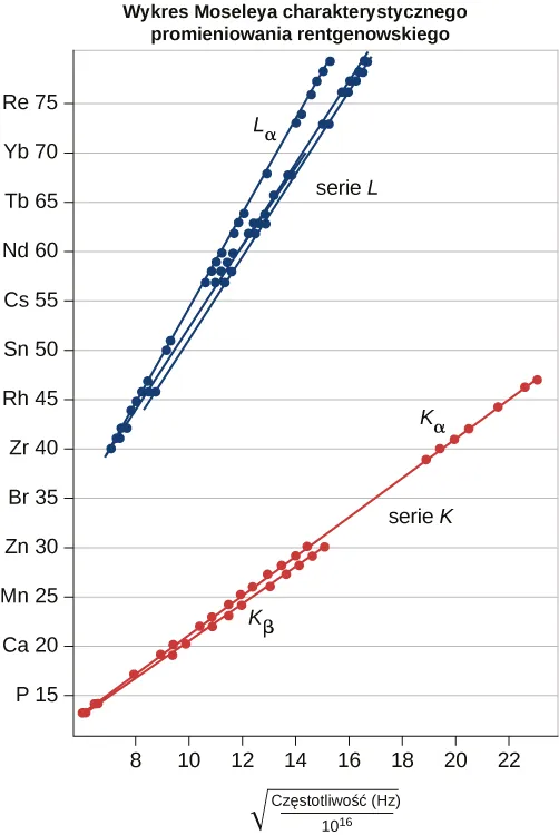 Wykres Moseley'a promieniowania charakterystycznego X. Jest to wykres zależności liczby atomowej w funkcji pierwiastka z częstotliwości, podanej w hercach dzielonych przez 10 do 16. Wartości na osi pionowej są od zera do 80 i opisane symbolami pierwiastków o liczbach atomowych będących wielokrotnościami 5: P, C a, M n, Z n, B r, Z r, R h, S n, C s, N d, T b, Y b i R e. Skala na osi poziomej jest od 0 do 24. Wartości leżą na kilku liniach prostych, odpowiadających seriom. Seria L narysowana niebieską linią leży powyżej serii K narysowanej na czerwono i wszystkie linie L są bardziej strome niż linie K. Seria L sub alfa ma większe nachylenie niż seria L. Pokazano dwie krzywe serii K. Nachylenie serii K sub alfa jest większe niż nachylenie K sub beta.