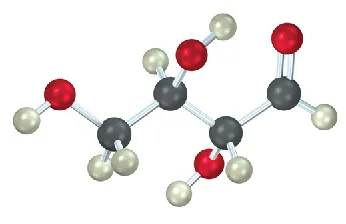 The ball-and-stick model of aldotetrose which is an aldose with four carbon atoms. The gray, black, and red spheres represent hydrogen, carbon, and oxygen atoms, respectively.
