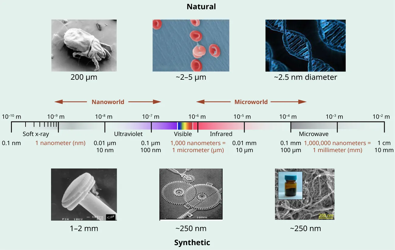 Visual representing nanotechnology between natural and synthetic world.
