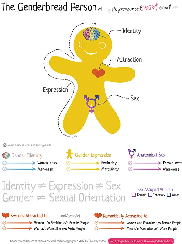 A drawing of a gingerbread figure.