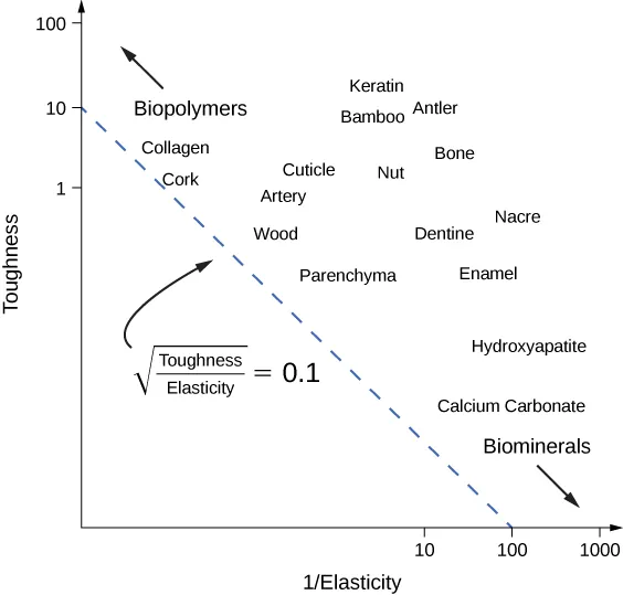 This image shows a graph. The vertical axis is labeled Toughness and it has tick marks three quarters up the graph beginning with 1, another at 10, and finally the last one at 100. The horizontal axis is labeled 1/Elasticity. It has tick marks three quarters into the bottom line that read 10, 100, 1000. There is a dotted line from the vertical 10  to the horizontal 100. The square root of toughness divided by elasticity is 0.1.