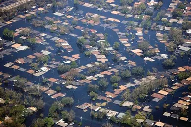 An aerial photograph shows the tops of rows of houses and trees that are otherwise entirely underwater.
