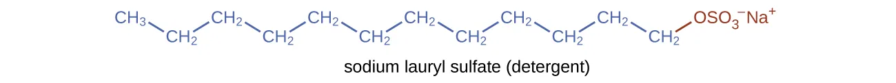 This figure shows a structural formula for a detergent known as sodium lauryl sulfate. A hydrocarbon chain composed of 12 carbon atoms and 25 hydrogen atoms is shown with an ionic end involving a negatively charged sulfur and four oxygen atoms at the ionic end of the chain. A positively charged N a superscript plus is also shown at the ionic end.