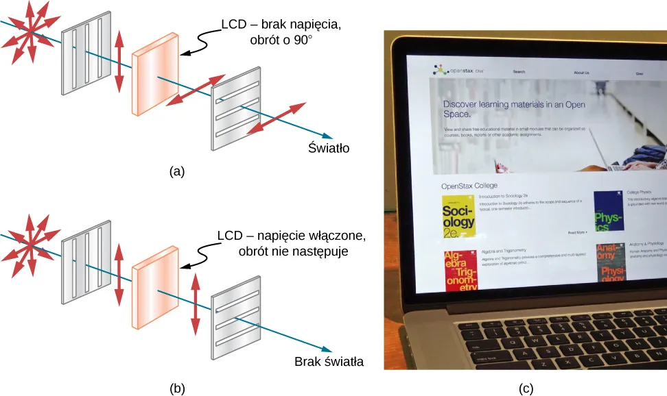 Figura a przedstawia promień początkowo niespolaryzowany biegnący przez pionowy polaryzator, a następnie przez element oznaczony jako L C D, brak napięcia, obrót o 90 stopni, a następnie przez poziomy polaryzator. Początkowo niespolaryzowane światło staje się spolaryzowane pionowo po przejściu przez pionowy polaryzator, a następnie zostaje obrócony o 90 stopni przez element L C D i staje się spolaryzowany poziomo. Następnie promień przechodzi przez poziomy polaryzator. Figura b jest podobna z wyjątkiem tego, że element L C D jest oznaczony jako napięcie włączone, obrót nie następuje. Po wyjściu z elementu L C D światło jest zatem spolaryzowane pionowo i nie przechodzi przez poziomy polaryzator. Wreszcie figura c ukazuje otwarty laptop, możesz zobaczyć ikony na jego ekranie.