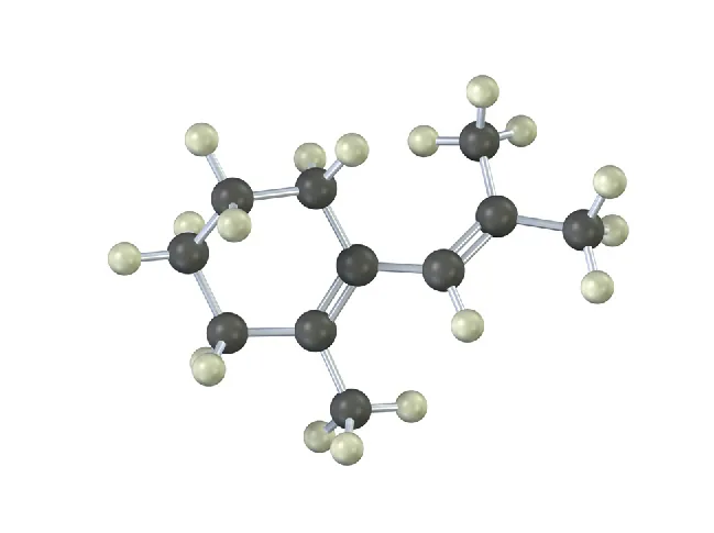 The ball-and-stick model has cyclohexene. C 1 is bonded to 3-carbon chain with double bond at C 1. C 2 of ring and chain are each bonded to a methyl group.
