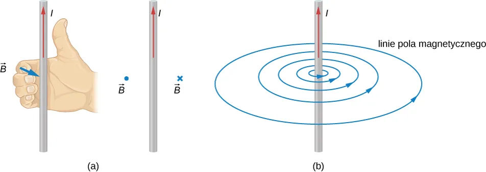 Rysunek a pokazuje regułę prawej dłoni zastosowaną do przewodu przenoszącego prąd ku górze. Prawa ręka ustawiona jest tak, że kciuk wskazuje kierunek prądu. Palce zwijają się wokół przewodu. Pole magnetyczne jest poza stroną z lewej i wewnątrz strony z prawej. Rysunek b pokazuje linie sił pola magnetycznego skierowane na zewnątrz w prawo. Linie pola wychodzą z koncentrycznych kręgów w tym samym kierunku co palce prawej ręki na rysunku a. Odstęp między kręgami zwiększa się wraz z odległością od przewodu z prądem. 