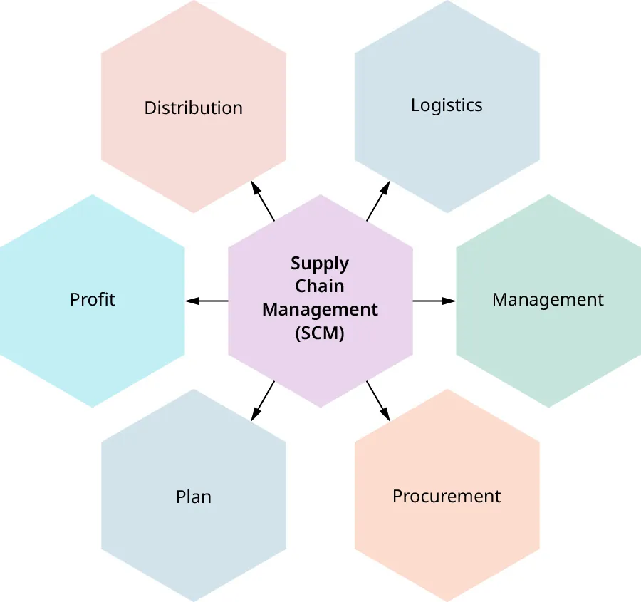 A diagram of supply chain management (SCM): logistics, management, procurement, plan, profit, distribution.