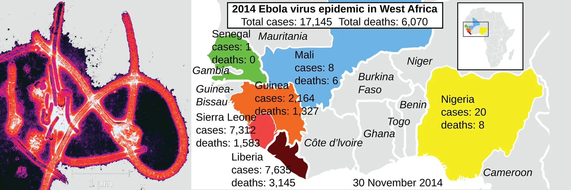 Ebola virus epidemic in West Africa. Description below.
