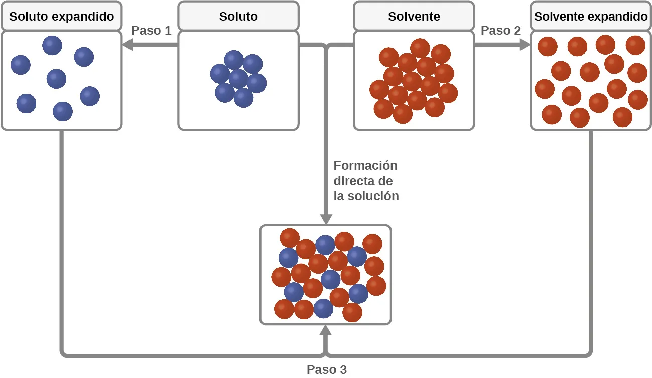 La región superior y central de la figura muestra las partículas de soluto como siete esferas azules y las partículas de solvente como 16 esferas rojas en cajas separadas y marcadas. Las partículas de estas cajas se tocan. Una flecha marcada como "Paso 1" apunta a la izquierda de la caja del soluto y muestra las esferas azules que ya no se tocan en otra caja marcada como "soluto expandido". Una flecha marcada como "Paso 2" apunta a la derecha de la caja del solvente y muestra las esferas rojas que ya no se tocan en otra caja marcada como "solvente expandido". Las flechas parten de la parte inferior de las cajas de soluto expandido y de solvente expandido y se unen en la parte inferior de la figura, donde se muestra la marca del paso 3. Las flechas unidas señalan una caja justo encima en la que las esferas roja y azul se mezclan y se tocan. Las cajas de soluto y solvente están unidas por otra flecha marcada como "formación directa de la solución" que apunta hacia abajo en el centro de la figura. Esta flecha también apunta a la caja que contiene esferas rojas y azules mezcladas cerca de la parte inferior de la figura.