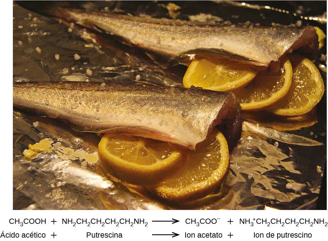 Se muestra una imagen de dos pescados sin cabeza y con piel, con rodajas de limón colocadas en la cavidad corporal. La primera línea de una ecuación debajo de la imagen dice C H subíndice 3 C O O H más N H subíndice 2 C H subíndice 2 C H subíndice 2 C H subíndice 2 N H subíndice 2 N H subíndice 2 flecha C H subíndice 3 C O O superíndice signo negativo más N H subíndice 3 superíndice signo positivo C H subíndice 2 C H subíndice 2 C H subíndice 2 C H subíndice 2 N H subíndice 2. La segunda línea de la ecuación se lee ácido acético con signo de más el signo putrescina flecha ion de acetato más el signo ion de putrescinio.