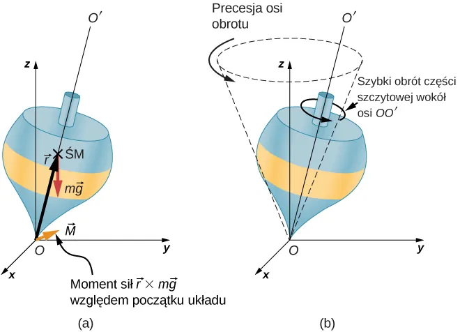 Rysunek a: Na pokazanym układzie współrzędnych x y z , z x na stronie, y na prawo, i z na górze. Początek jest punktem O. Górna część jest pokazana z jej punktem w miejscu pochodzenia, a jej oś jest odchylona od pionowej osi z. Oś górna jest linią O O prim. Wektor r rozciąga się od początku do środka masy, oznaczonego jako C M, wierzchołka. Siła M g działa w dół do środka masy. Moment obrotowy o pochodzeniu jest równy wektorowi r przecinającemu wektorowi M g. Ten moment jest wektorem w płaszczyźnie xy prostopadłej do wektora r. Rysunek b: Wyświetlana jest współrzędna x y z i górna. Górna krawędź jest odchylana od osi z i szybko obraca się w kierunku przeciwnym do ruchu wskazówek zegara wokół osi głównej O O, widzianej z góry. Precesja górnej śladuje w kierunku przeciwnym do ruchu wskazówek zegara, patrząc od góry, wyśrodkowana na osi z. Stożek przecięty precesją góry jest zaznaczony za pomocą linii przerywanych.