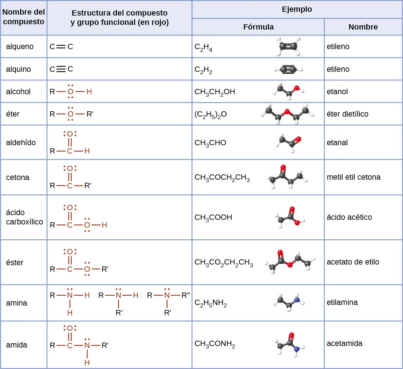 Esta tabla proporciona los nombres de compuestos, estructuras con grupos funcionales en rojo y ejemplos que incluyen fórmulas, fórmulas estructurales, modelos de barras y esferas, y nombres. Los nombres de los compuestos son: alqueno, alquino, alcohol, éter, aldehído, cetona, ácido carboxílico, éster, amina y amida. Los alquenos tienen un doble enlace. Una fórmula es C subíndice 2 H subíndice 4 que se denomina eteno. El modelo de barras y esferas muestra dos esferas negras que forman un doble enlace y cada una está enlazada a dos esferas blancas. Los alquinos tienen un triple enlace. Una fórmula es C subíndice 2 H subíndice 2 que se denomina etileno. El modelo de barras y esferas muestra dos esferas negras con un triple enlace entre sí, cada una enlazada a una esfera blanca. Los alcoholes tienen un grupo O H. El O tiene dos pares de puntos de electrones. Una fórmula es C H subíndice 3 C H subíndice 2 O H que se denomina etanol. El modelo de barras y esferas muestra dos esferas negras y una roja enlazadas entre sí con un enlace simple. Hay cuatro esferas blancas visibles. Los éteres tienen un átomo de O en la estructura entre dos grupos R. El átomo de O tiene dos conjuntos de puntos de electrones. Una fórmula es (C subíndice 2 H subíndice 5) subíndice 2 O que se denomina etanal. El modelo de barras y esferas muestra dos esferas negras enlazadas a una roja que está enlazada a otras dos esferas negras. Todos los enlaces son simples. Hay cinco esferas blancas visibles. Los aldehídos tienen un átomo de C al que se une un O de doble enlace y un H y un R incluidos en la estructura. El átomo de O tiene dos conjuntos de puntos de electrones. Una fórmula es C H subíndice 3 C H O que se denomina etanal. El modelo de barras y esferas muestra dos esferas negras enlazados a dos esferas rojas. El modelo de barras y esferas muestra dos esferas negras enlazadas con un enlace simple; la segunda esfera negra forma un doble enlace con una esfera roja. Hay tres esferas blancas visibles. Las cetonas presentan un átomo de C al que se une un O de doble enlace. El lado izquierdo del átomo C está enlazado a R y el lado derecho está enlazado a R primo. El átomo de O tiene dos conjuntos de puntos de electrones. La fórmula es C H subíndice 3 C O C H subíndice 2 C H subíndice 3 y se denomina metil etil cetona. Los modelos de barras y esferas muestran cuatro esferas negras que forman enlaces simples entre sí. La segunda esfera negra forma un doble enlace con una esfera roja. Hay cinco esferas blancas visibles. Los ácidos carboxílicos tienen un C en cuya estructura se incluye un O de doble enlace y un O H. Cada átomo de O tiene dos conjuntos de puntos de electrones. Una fórmula es C H subíndice 3 C O O H que se denomina ácido etanoico o acético. El modelo de barras y esferas muestra dos esferas negras y una roja que forman enlaces imples entre sí. La segunda esfera negra también forma un doble enlace con otra esfera roja. Se ven tres esferas blancas. Los ésteres tienen un átomo de C que forma un doble enlace con un átomo de O y un enlace simple con otro átomo de O que tiene un grupo hidrocarburo unido en la estructura. Cada átomo de O tiene dos conjuntos de puntos de electrones. Una fórmula es C H subíndice 3 C O subíndice 2 C H subíndice 2 C H subíndice 3 que se denomina acetato de etilo. El modelo de barras y esferas muestra dos esferas negras, una roja y otras dos negras que forman enlaces simples entre sí. La segunda esfera negra forma un doble enlace con otra esfera roja. Hay cinco esferas blancas visibles. Las aminas tienen un átomo de N en la estructura al que se pueden enlazar tres grupos de hidrocarburos, dos grupos de hidrocarburos y un átomo de H, o un grupo de hidrocarburos y dos átomos de H. Cada n tiene un único conjunto de puntos de electrones. Una fórmula es C subíndice 2 H subíndice 5 N H subíndice 2 que se denomina etilamina. El modelo de barras y esferas muestra dos esferas negras y una azul que forman enlaces simples entre sí. Hay cinco esferas blancas visibles. Las amidas tienen un C al que se incorpora un O de doble enlace y un N de enlace simple en una estructura entre dos grupos de hidrocarburos. Un grupo hidrocarburo está enlazado al C, el otro al N. Las amidas también pueden tener un átomo de H enlazado al N. El átomo de O tiene dos conjuntos de puntos de electrones, y el átomo de N tiene un conjunto. Una fórmula es C H subíndice 3 C O N H subíndice 2 que se denomina etanamida o acetamida. El modelo de barras y esferas muestra dos esferas negras y una azul que forman enlaces simples entre sí. La segunda esfera negra forma un doble enlace con una esfera roja. Hay cuatro esferas blancas visibles.