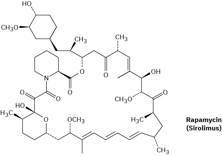 The wedge-and-dash structure of rapamycin (sirolimus).